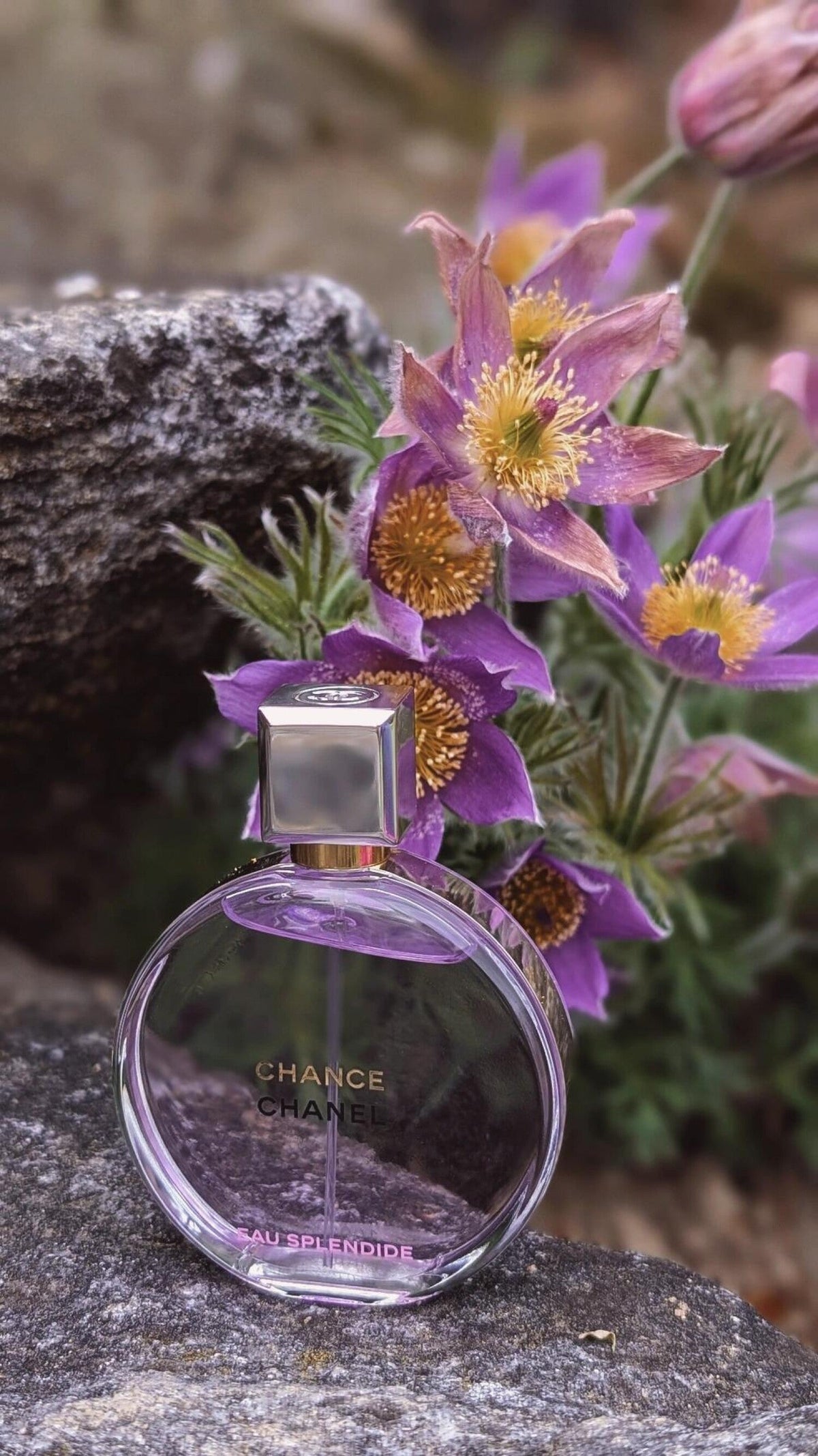 CHANEL - chanel Chance Eau Splendide 100 ml (tester)