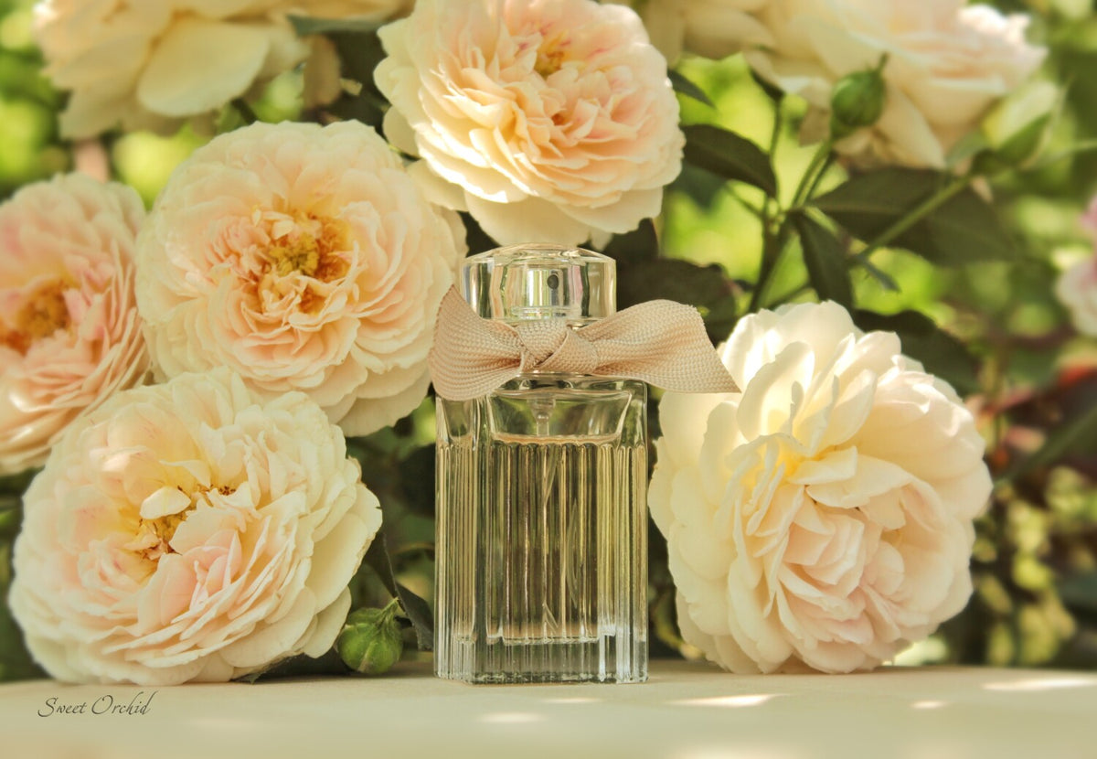 CHLOÉ - Chloé Eau de Parfum 75 ml