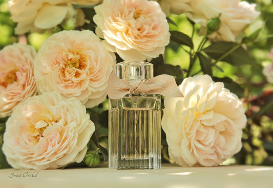 CHLOÉ - Chloé Eau de Parfum 75 ml
