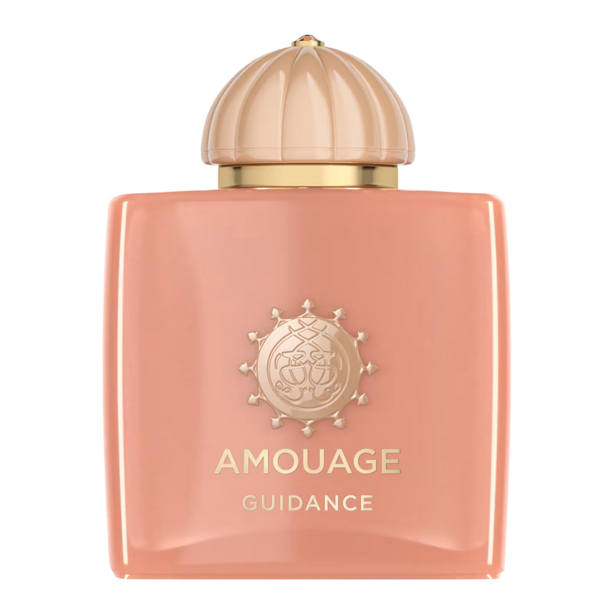 AMOUAGE- GUIDANCE Edp 100 ml
