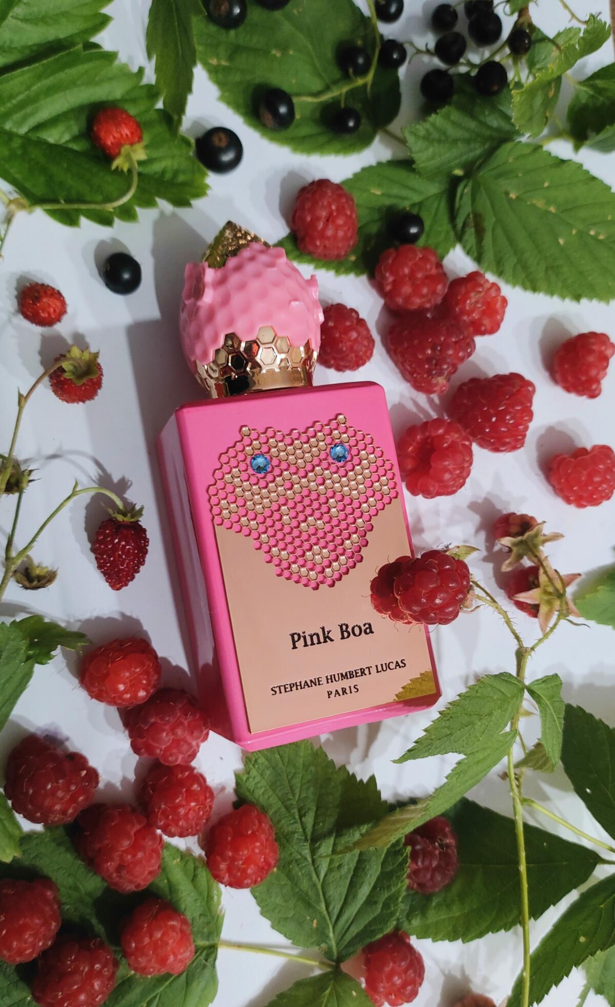 STEPHANE HUMBERT LUCAS 777 - Pink Boa 50 ml